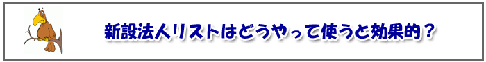 新設法人リストはどうやって使うと効果的?