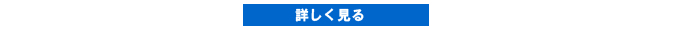詳しく見る