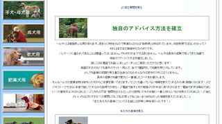 独自のアドバイス法