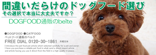 ヘッダーデザインその5